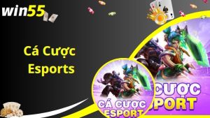 Cá Cược Esports Win55 - Thiên Đường Đổi Thưởng Dẫn Đầu Xu Hướng