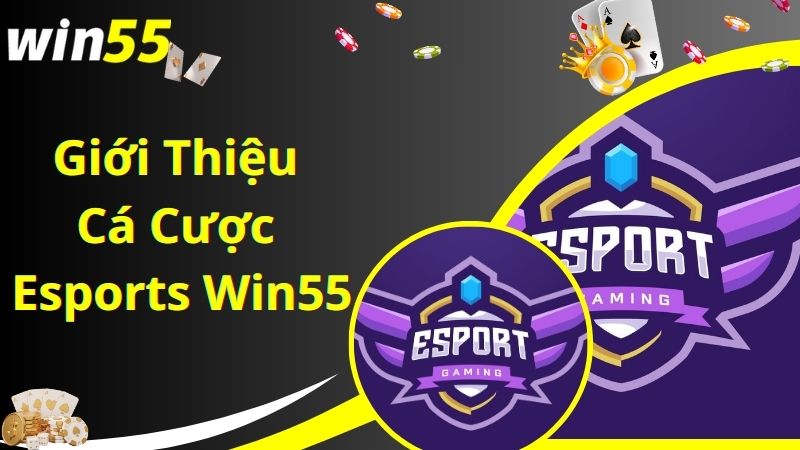 Giới thiệu sảnh cá cược Esports tại web cược Win55