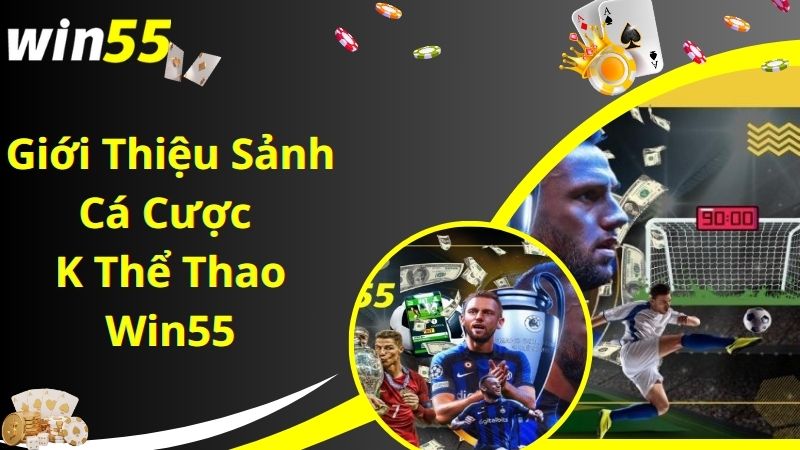 Sảnh cá cược K thể thao Win55 được yêu thích hàng đầu