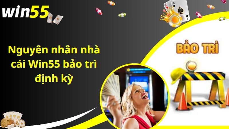 Nguyên nhân nhà cái Win55 bảo trì định kỳ