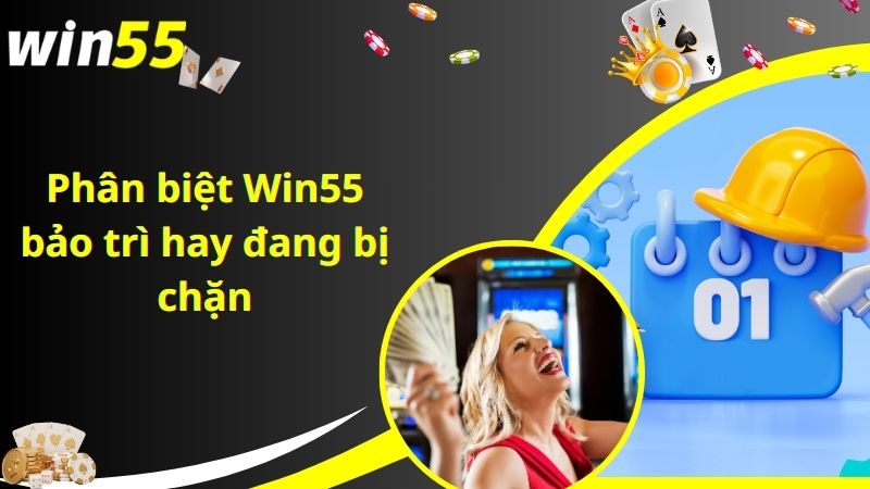 Phân biệt Win55 bảo trì hay đang bị chặn