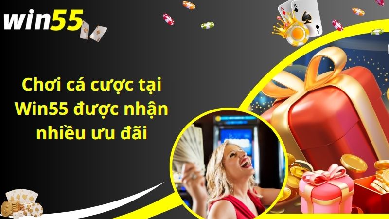 Chơi cá cược tại Win55 được nhận nhiều ưu đãi